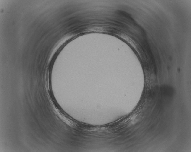 X0000067891131200605111844