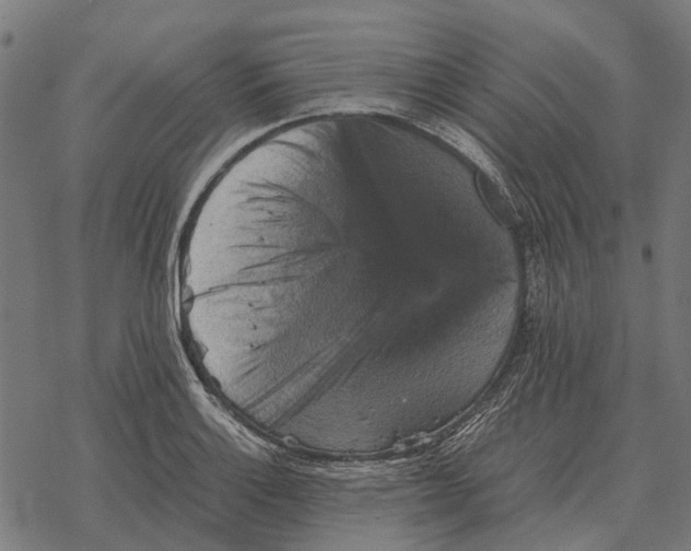 X0000067891132200605111844