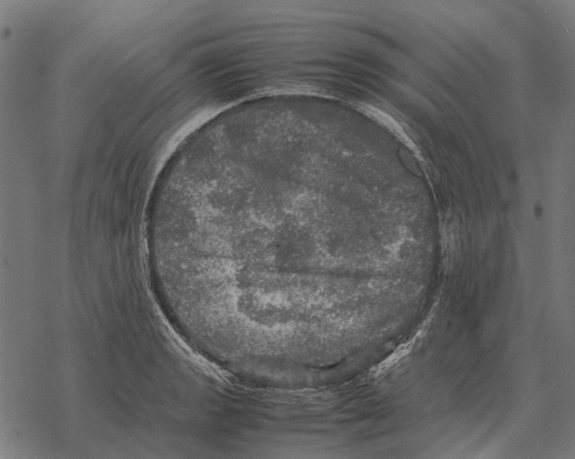 X0000067891133200605111844