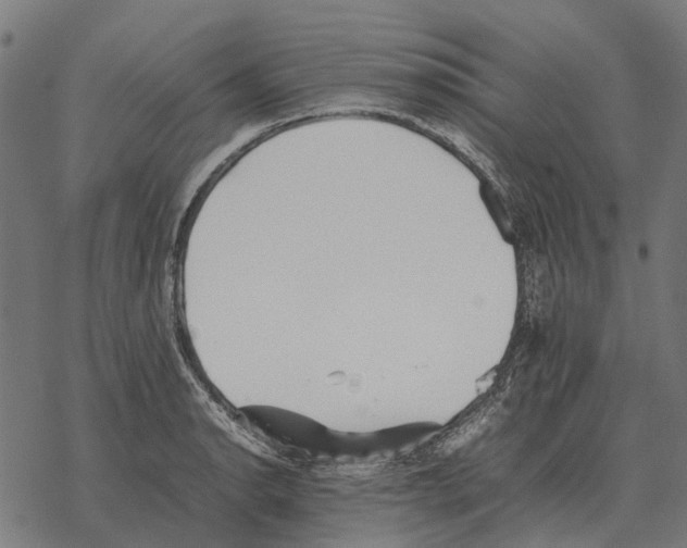 X0000067891134200605111844