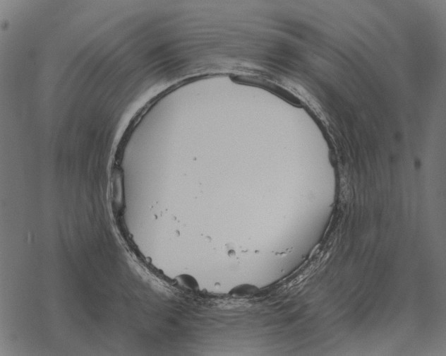 X0000067891136200605111844