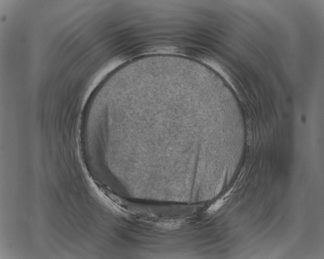 X0000067891139200605111844