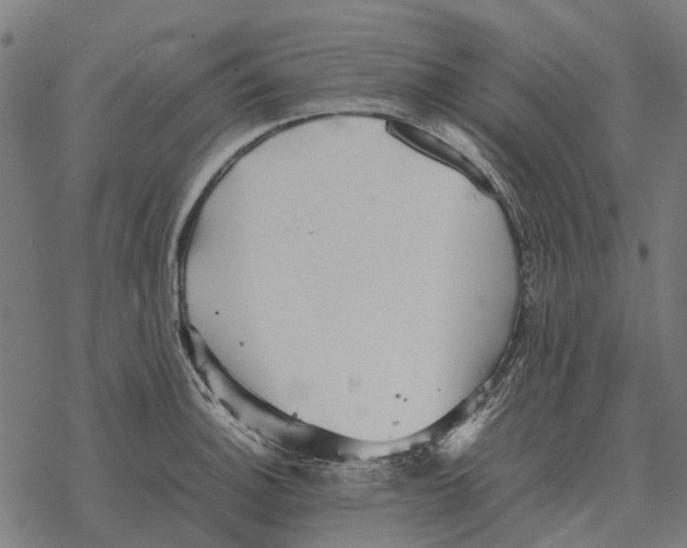 X0000067891140200605111844