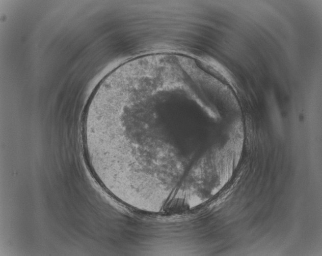 X0000067891142200605111844