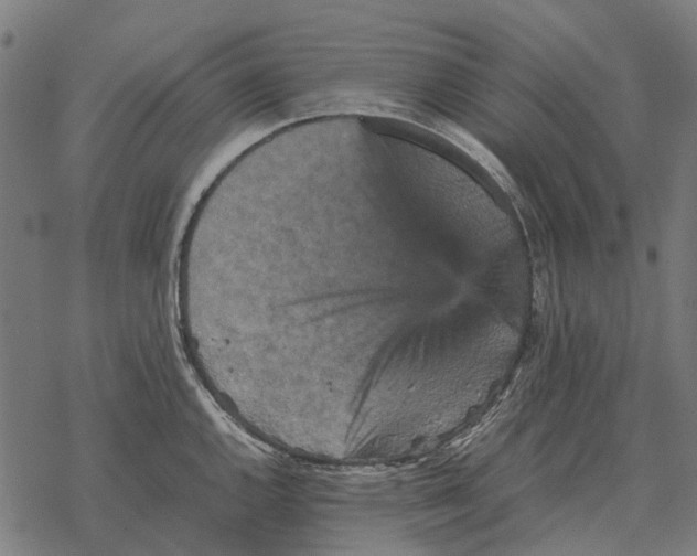 X0000067891144200605111844