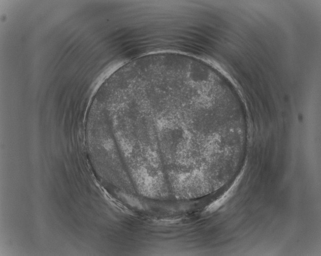 X0000067891145200605111844