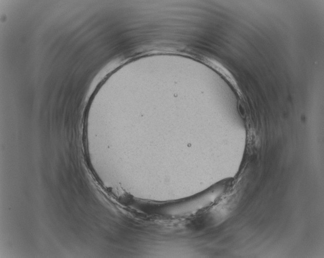 X0000067891146200605111844