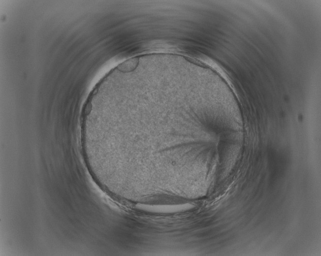 X0000067891147200605111844