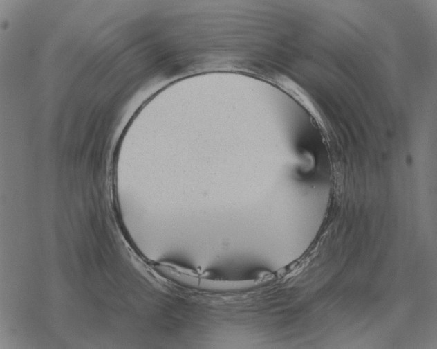 X0000067891148200605111844