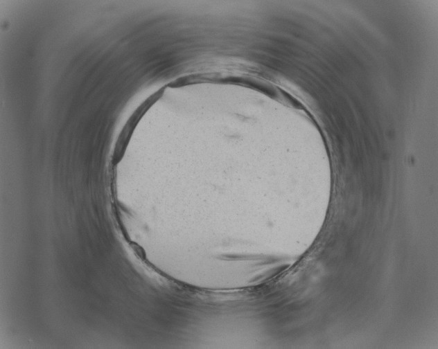 X0000067891152200605111844