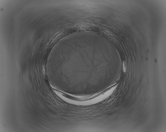 X0000067891155200605111843