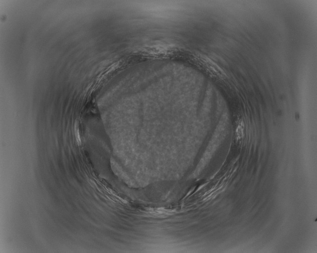 X0000067891156200605111843