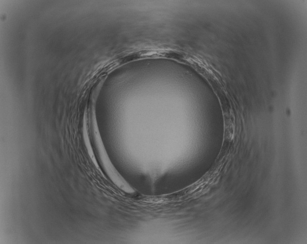 X0000067891157200605111843