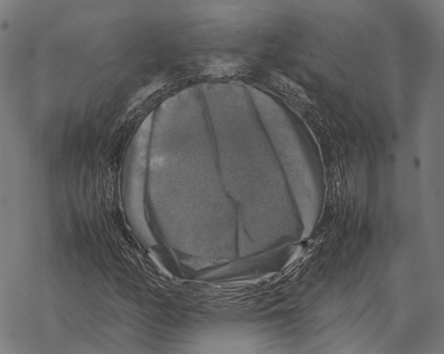 X0000067891158200605111843