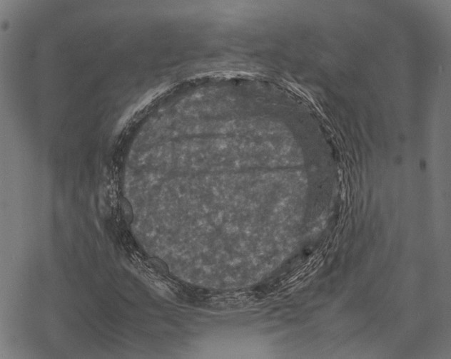 X0000067891159200605111843