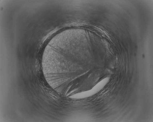 X0000067891160200605111843