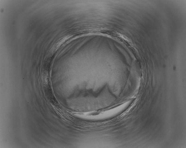 X0000067891161200605111843