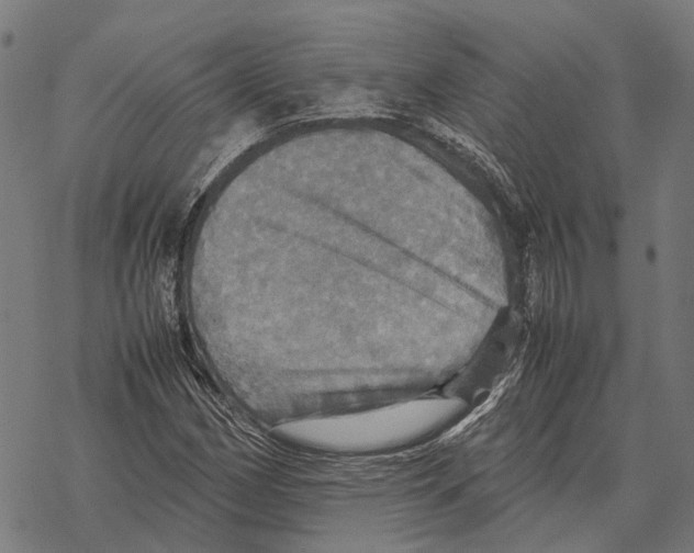 X0000067891162200605111843