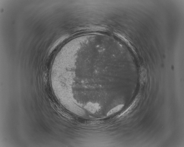 X0000067891163200605111843