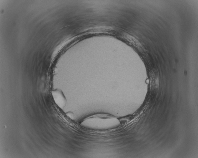 X0000067891164200605111843