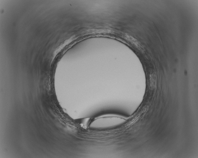 X0000067891165200605111843