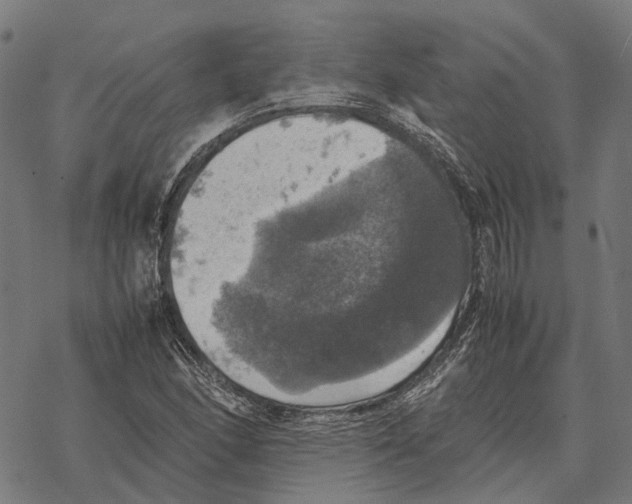 X0000067891166200605111843