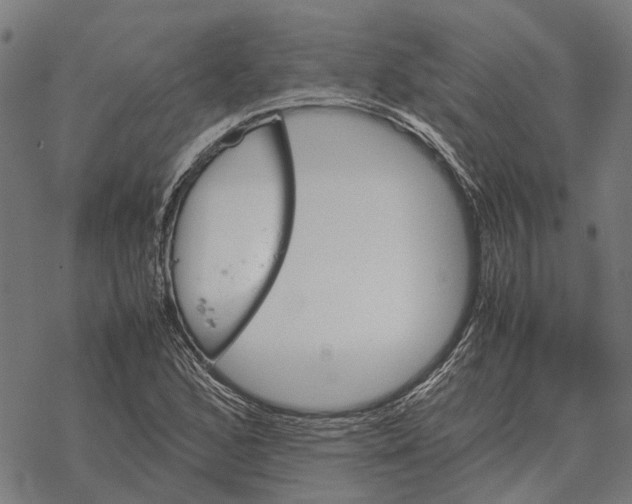 X0000067891168200605111843