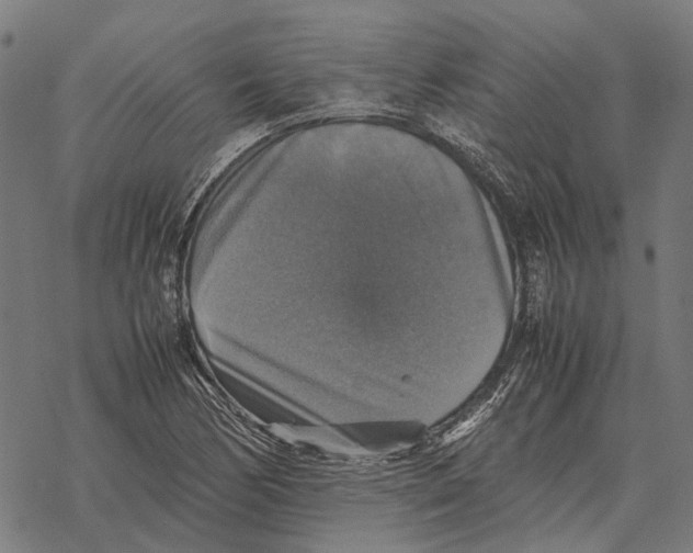 X0000067891170200605111843