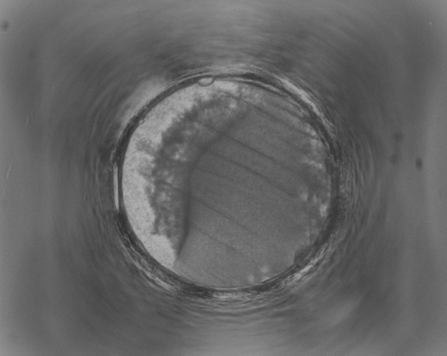 X0000067891171200605111843