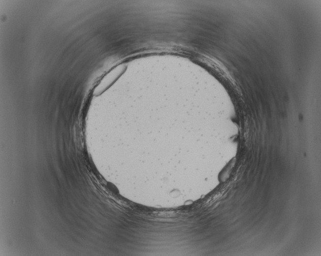 X0000067891172200605111843