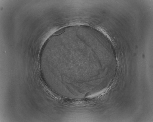 X0000067891173200605111843