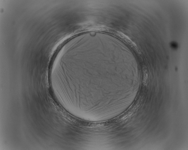 X0000067891174200605111843