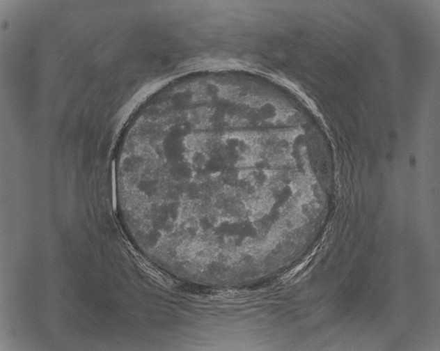 X0000067891175200605111843