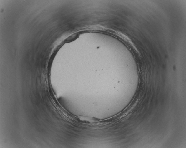 X0000067891176200605111843