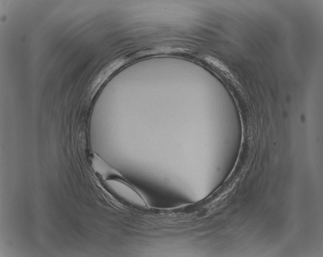 X0000067891177200605111843