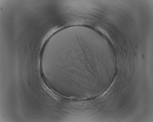 X0000067891179200605111843