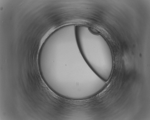 X0000067891180200605111843