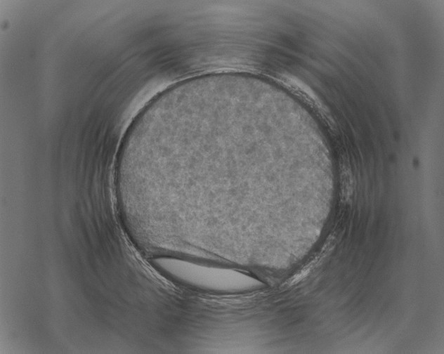 X0000067891182200605111843