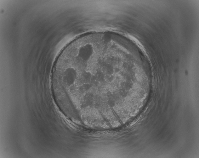 X0000067891183200605111843