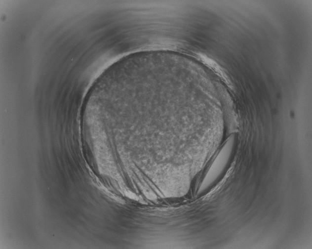 X0000067891184200605111843