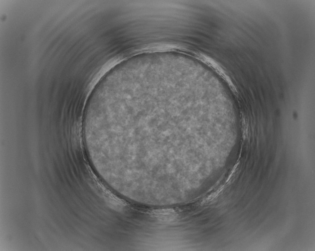 X0000067891186200605111843