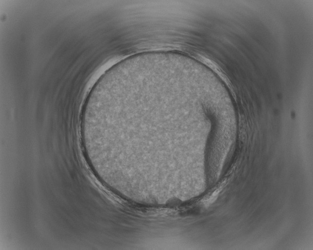 X0000067891187200605111843