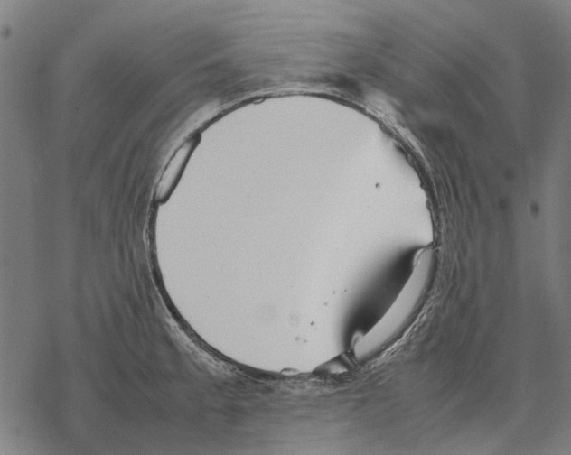 X0000067891189200605111843