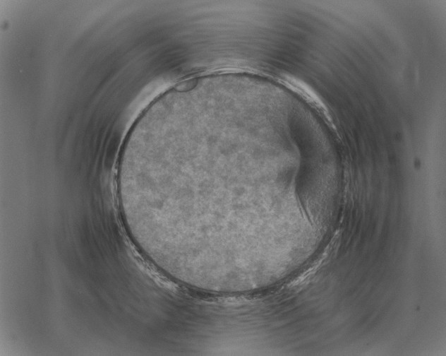 X0000067891190200605111843