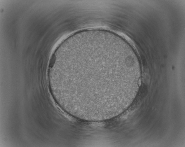 X0000067891191200605111843