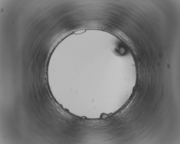 X0000067891192200605111843