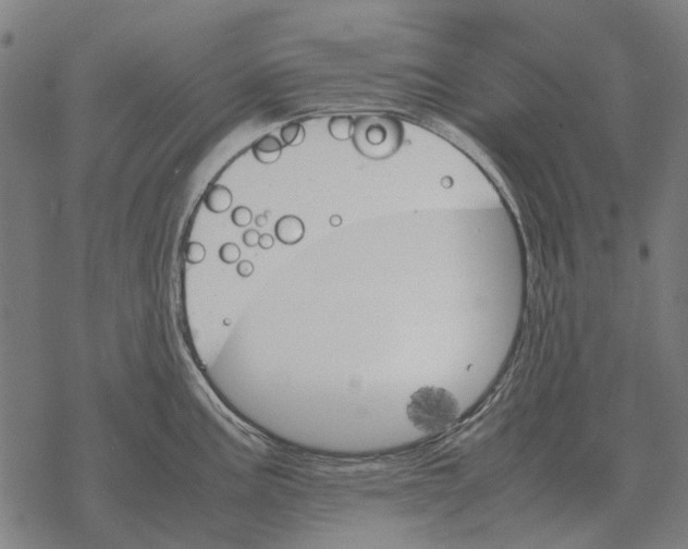 X0000067891195200605111843