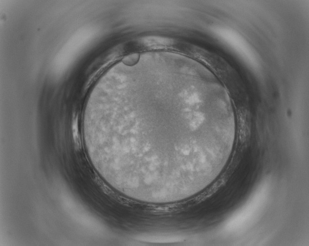 X0000067891198200605111843