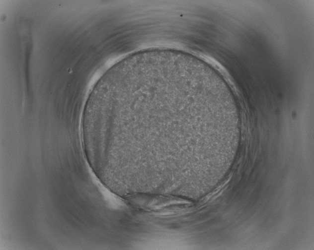 X0000067891199200605111843