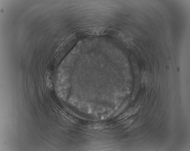 X0000067891202200605111842